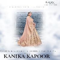 Rajtex kanika kapoor Wholesale pure banarasi Saree