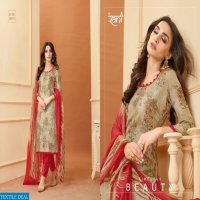 Rani Shine vol-2 Wholesale Dress Material