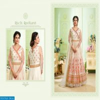 Mrigni vol-6 Wholesale Designer Anarkali Dress