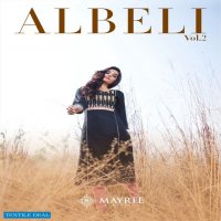Mayree Albeli Vol-2 Wholesale 14 kg Reyon Long Kurtis