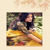SHVETAMBAR CREATION VANTO BOUTIQUE COTTON SILK WITH KANCHI BORDER SAREE