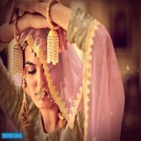 Cinderella Zarbab Wholesale Pure Silk Jacquard Festive Salwar Kameez