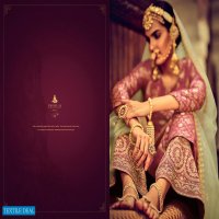 Cinderella Zarbab Wholesale Pure Silk Jacquard Festive Salwar Kameez
