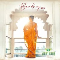 Sanskar Bandhej Wholesale Shopping Casual Indian Sarees