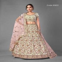 Arya Vol-17 Wholesale Designer Ethnic Lehengas