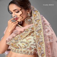 Arya Vol-17 Wholesale Designer Ethnic Lehengas