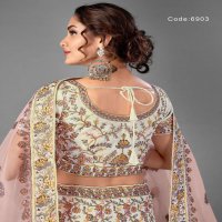 Arya Vol-17 Wholesale Designer Ethnic Lehengas