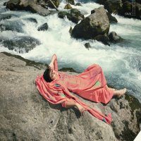GLOSSY MAAHI PASHMINA GORGEOUS LOOK SALWAR SUIT CATALOG