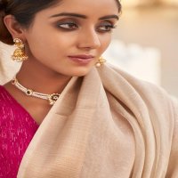 LT FASHION MANASVI GORGEOUS LOOK SAREE CATALOG
