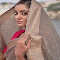 LT FASHION MANASVI GORGEOUS LOOK SAREE CATALOG