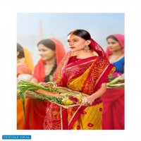 Lifestyle Chhath Special Wholesale Rajjo Net Ethnic Sarees
