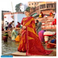 Lifestyle Chhath Special Wholesale Rajjo Net Ethnic Sarees