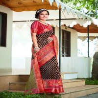 SHVETAMBAR GOLDEN EYE ORGANZA BRASSO SILK SARIS WHOLESALER