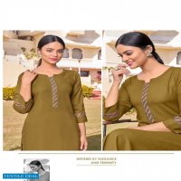 SHUBH HEER VOL 2 RAYON EMBROIDERY KURTI WHOLESALER IN SURAT
