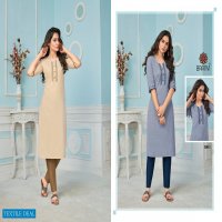 Baanvi Rang Vol-1 Wholesale Long Kurtis Catalogs