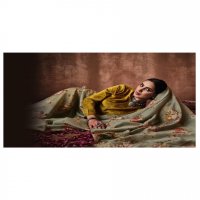 Varsha Aroosh Wholesale Pure Velvet With Embroidery Salwar Kameez