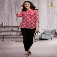 Vassu Top Vol-1 Wholesale Cotton Printed Kurtis