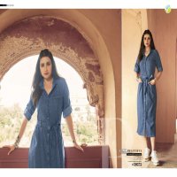 TUMBAA DENIM VOL 2 BY VINAY PURE DENIM SUMMER WEAR FANCY KURTI