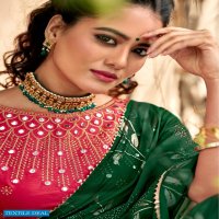 KASHVI AMAIRA WEIGHTLESS PRINTED SAREE WITH MIRROR WORK BLOUSE CONCEPT