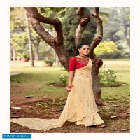 KASHVI AMAIRA WEIGHTLESS PRINTED SAREE WITH MIRROR WORK BLOUSE CONCEPT