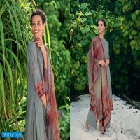 Varsha Ehrum Eshreen Wholesale Cotton Satin Work Salwar Kameez