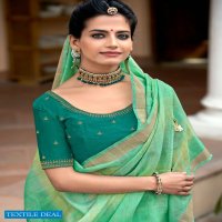 SHIVANGI BY LT FASHION LINEN DESIGNER SAREE WITH FANCY WORK BLOUSE
