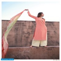 Varsha Ehrum Shaivi Wholesale Pure Cotton With Work Salwar Kameez