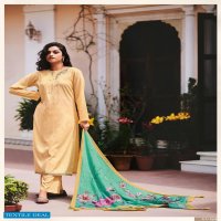 Ehrum Aarna Wholesale South Cotton With Work Salwar Suits