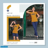 Luvit Variety Vol-2 Wholesale T-Shirt Pant With Shorts