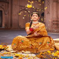 RAJPATH AARDHANGINI SILK SOFT DOLA SILK SAREES AUTHORIZED SUPPLIER