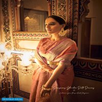 Rajpath Amiyah Wholesale Soft Tissue Silk Indian Sarees