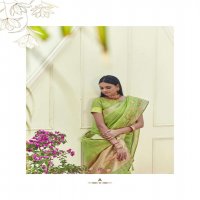 SHANGRILA AASHIMA ORGENZA FANCY SAREES COLLECTION