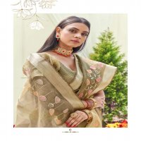 SHANGRILA AASHIMA ORGENZA FANCY SAREES COLLECTION