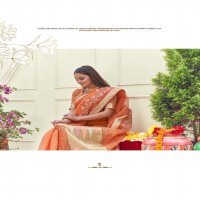 SHANGRILA AASHIMA ORGENZA FANCY SAREES COLLECTION