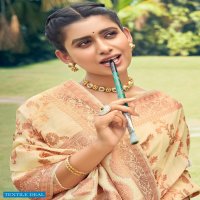 Revanta Shakti Wholesale Shopping Pure Silk Copper Zari Sarees
