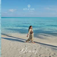 Varsha Ehrum Dinaz Wholesale Cotton Satin Printed With Work Salwar Suits