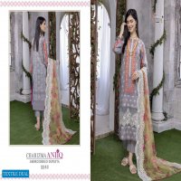 Shree Fab Charizma Aniiq Embroidered Dupatta Pakistani Concept Dress