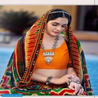 Ishika Galaxy Wholesale Georgette Printed Indian Sarees