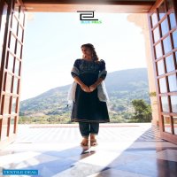 Blue Hill Butterfly Wholesale Anarkali Cut With Pant And Dupatta Catalogue