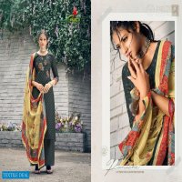 Ekatra Kizie Wholesale Pashmina Winter Collection