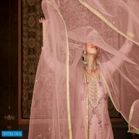 Maisha Zara Wholesale Function Special Salwar Suits