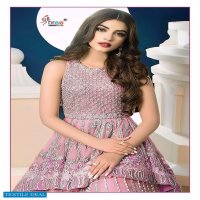 Shree Fab S-229 Colour Wholesale Pakistani Concept Dress
