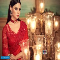 TFH Silver Screeen 15th Edition Wholesale party-wear Indian Saree
